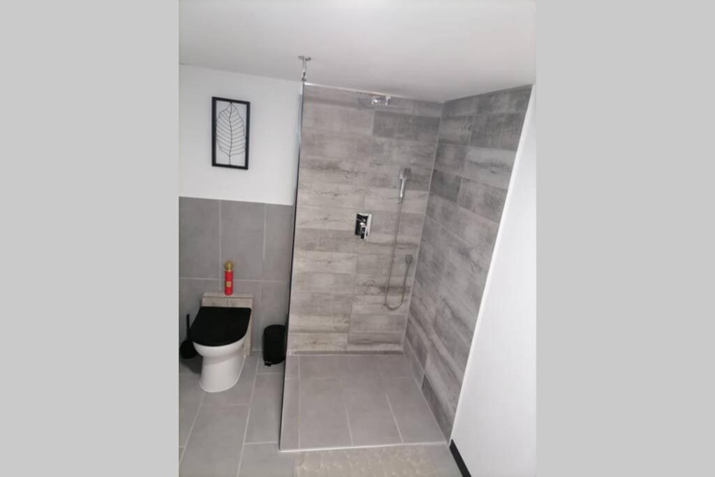 Maison 50 Nuances De Bresse Saint-Didier-en-Bresse Ngoại thất bức ảnh